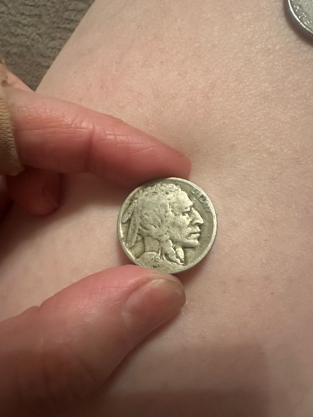 Buffalo Nickel Reverse - Classic Bison Design in Silver Tone